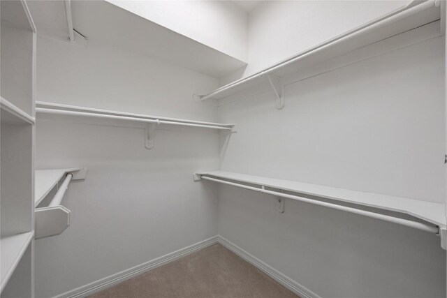 6702 Vireo Cv, Austin, TX 78746 - photo 20