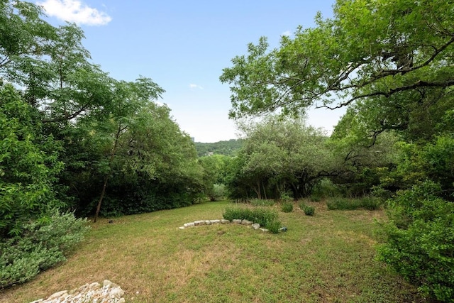 6702 Vireo Cv, Austin, TX 78746 - photo 36