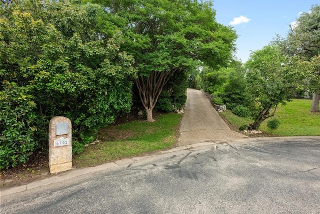 6702 Vireo Cv, Austin, TX 78746 - photo 40