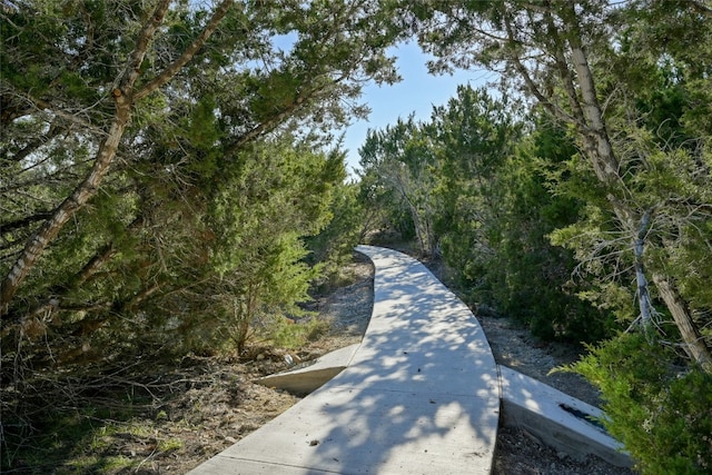 17113 Morning Grove Ln, Austin, TX 78738