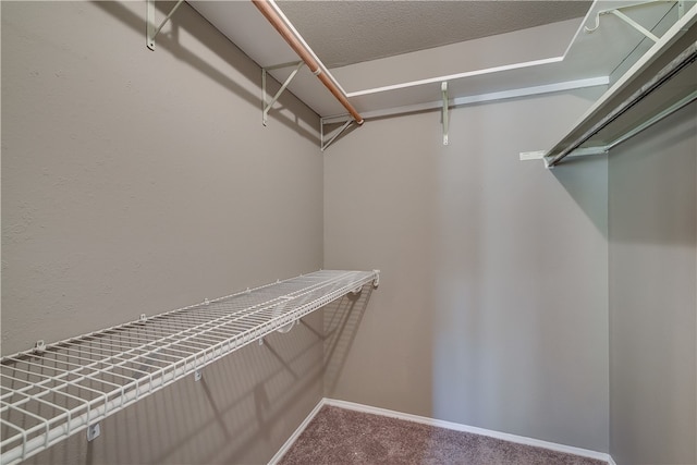 4303 Tamarack Trl, Austin, TX 78727 - spacious closet featuring carpet flooring