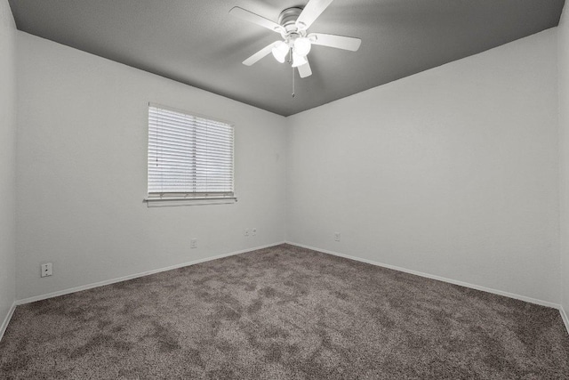 4303 Tamarack Trl, Austin, TX 78727 - photo 21