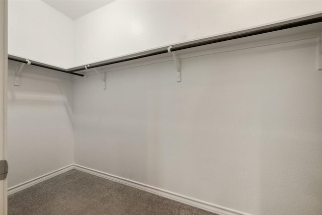 120 Flexus Ln, Liberty Hill, TX 78642 - walk in closet featuring carpet floors