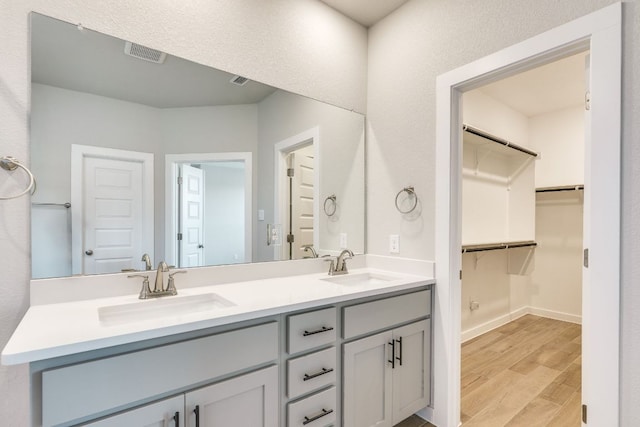110 Denali Dr, Kyle, TX 78640 - bathroom with double vanity, wood finished floors, a walk in closet, and baseboards