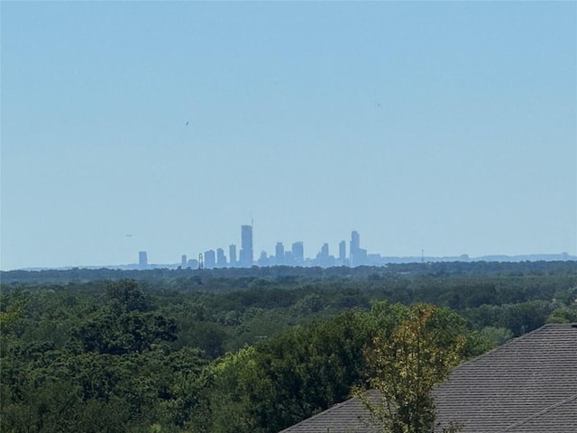 441 Double Eagle Ranch Dr, Cedar Creek, TX 78612 - photo 27
