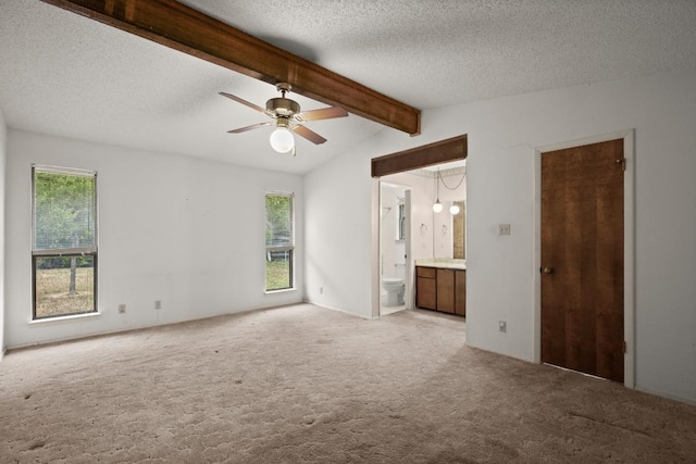 7104 Greenock St, Austin, TX 78749 - unfurnished bedroom with multiple windows, light colored carpet, a textured ceiling, and ensuite bath