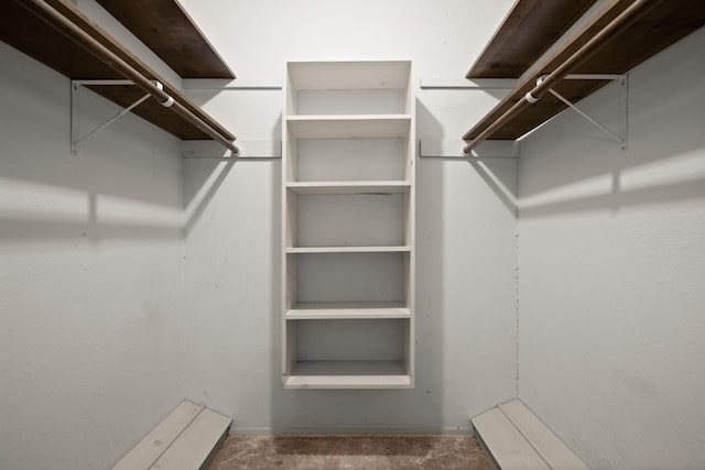 7104 Greenock St, Austin, TX 78749 - view of spacious closet