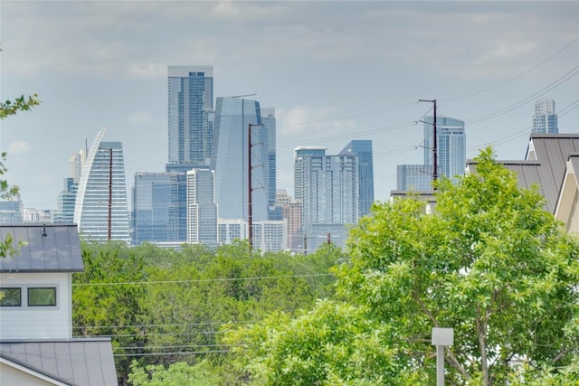 2724 Treble Ln Unit 324, Austin, TX 78704 - skyline view