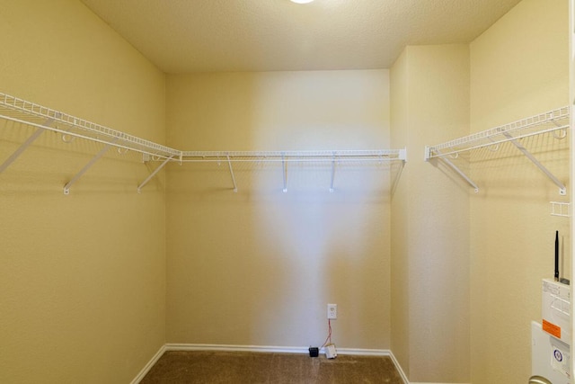 1214 Hensley Dr, Leander, TX 78641 - spacious closet with carpet