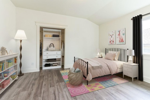 217 Hoya Ln, San Marcos, TX 78666 - bedroom featuring wood finished floors, multiple windows, and lofted ceiling