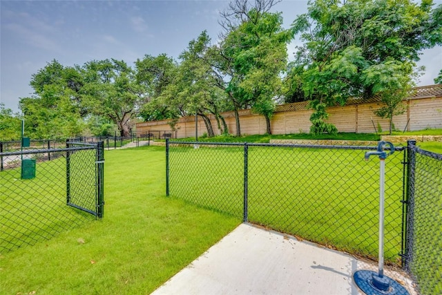 4802 S Congress Ave Unit 121, Austin, TX 78745 - view of yard featuring a gate and a dog friendly area