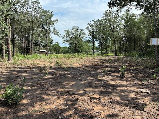 114 Miller St, Bastrop, TX 78602 - photo 3