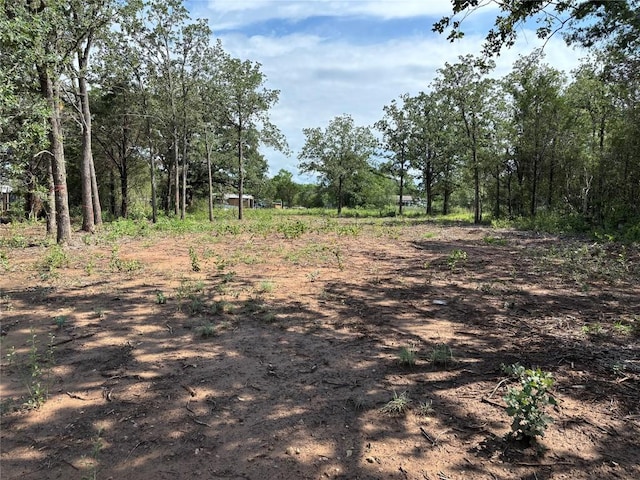 114 Miller St, Bastrop, TX 78602 - photo 5