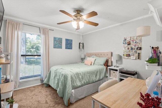 13001 Stillforest St, Austin, TX 78729 - photo 32