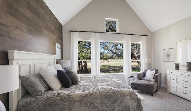 LOT13 Ridgeway Trl, Johnson City, TX 78636 - bedroom with high vaulted ceiling and light colored carpet