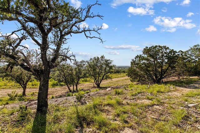 LOT13 Ridgeway Trl, Johnson City, TX 78636 - view of local wilderness