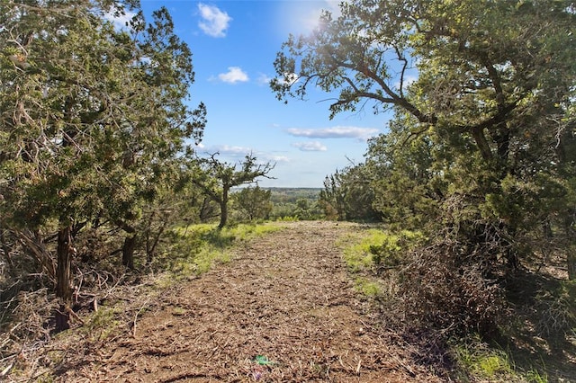 LOT13 Ridgeway Trl, Johnson City, TX 78636 - view of local wilderness