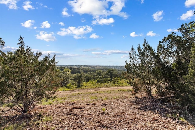 LOT13 Ridgeway Trl, Johnson City, TX 78636 - view of tree filled area