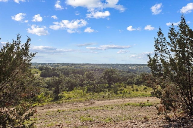 LOT13 Ridgeway Trl, Johnson City, TX 78636 - view of mountain background featuring a forest