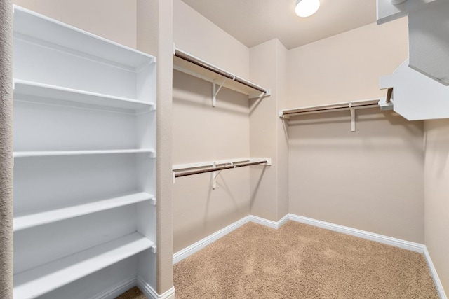 161 Serene Hollow Ln, Buda, TX 78610 - spacious closet featuring carpet