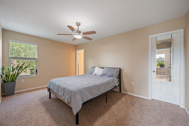904 Emory Tree Dr, Austin, TX 78748 - photo 22