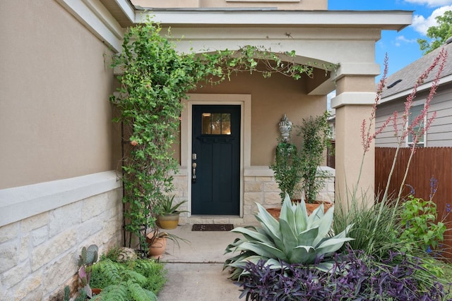 904 Emory Tree Dr, Austin, TX 78748 - photo 36