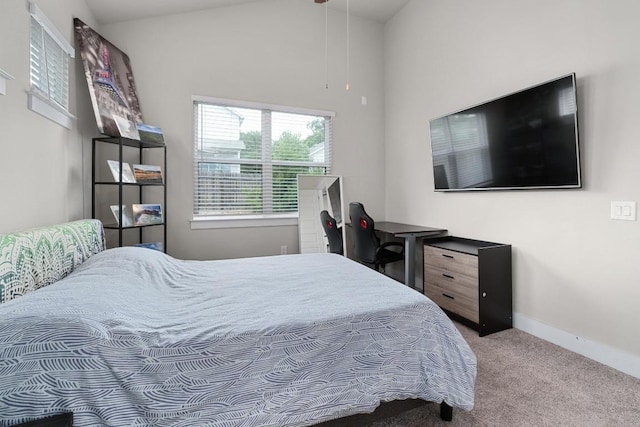 213 Virtus Bnd Unit 25, Austin, TX 78748 - carpeted bedroom with baseboards and lofted ceiling