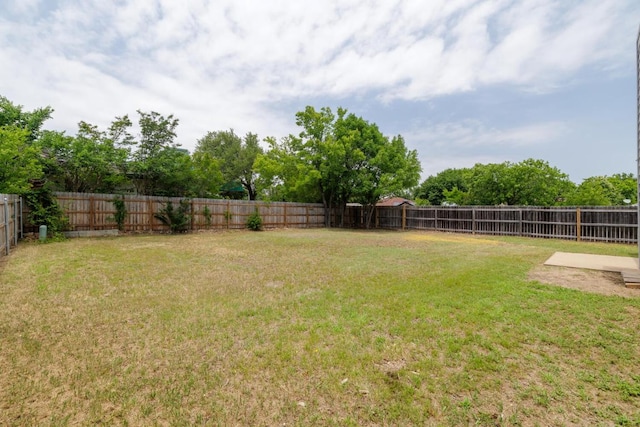 1307 Rambling Cv, Cedar Park, TX 78613 - view of yard