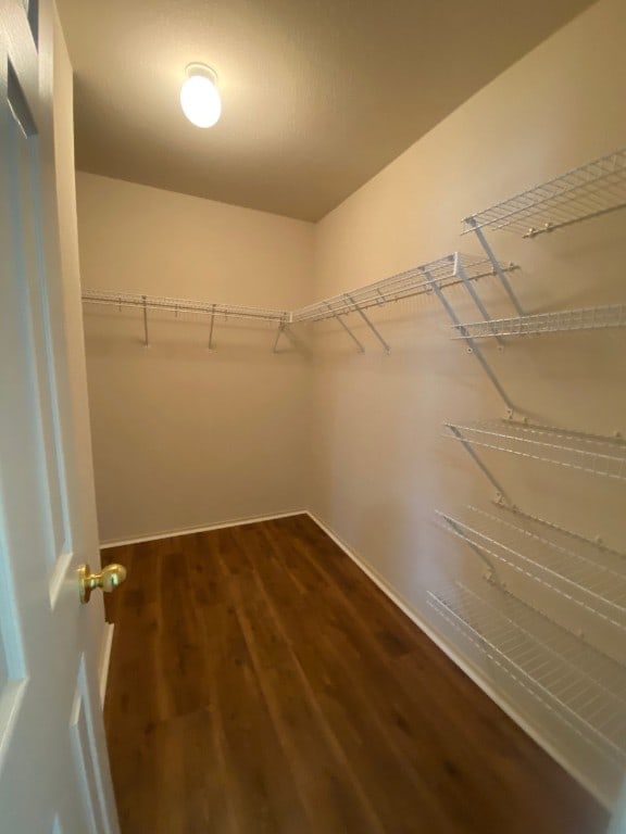 1119 Burgess Dr, Leander, TX 78641 - spacious closet with dark wood-type flooring