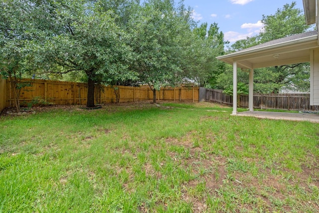 14404 Showdown Ln, Austin, TX 78717 - view of yard