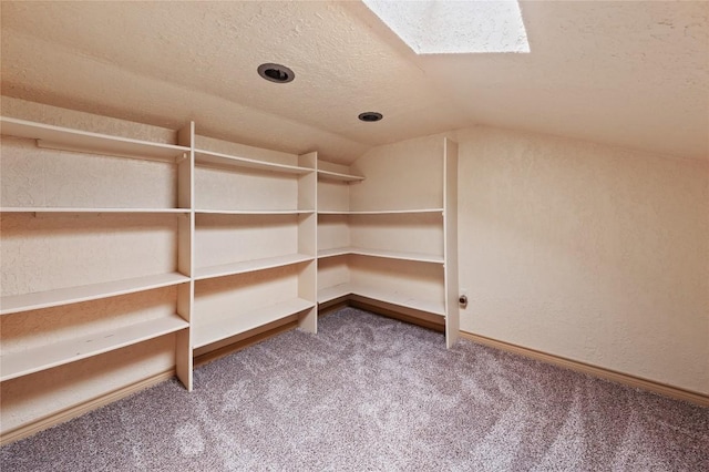 11105 Highview Dr, Belton, TX 76513 - storage area with a skylight