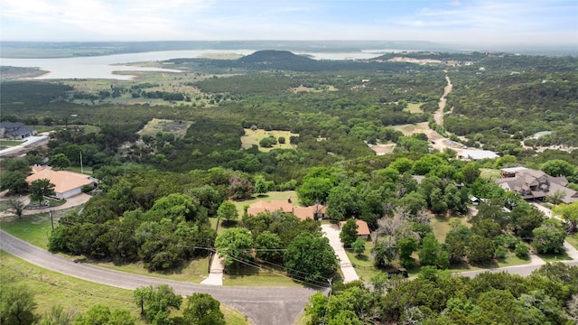 11105 Highview Dr, Belton, TX 76513 - drone / aerial view of a heavily wooded area