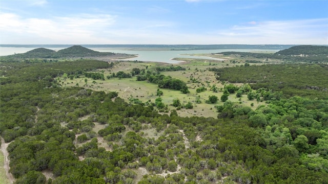 11105 Highview Dr, Belton, TX 76513 - aerial view of property's location featuring a nearby body of water and a forest