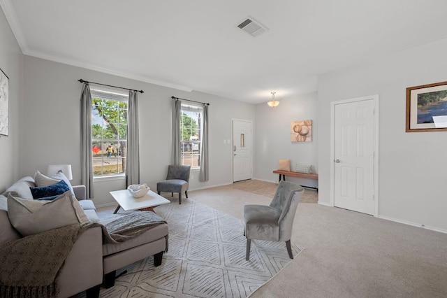 145 Trinity Dr, Kyle, TX 78640 - living area featuring carpet floors, baseboards, and crown molding
