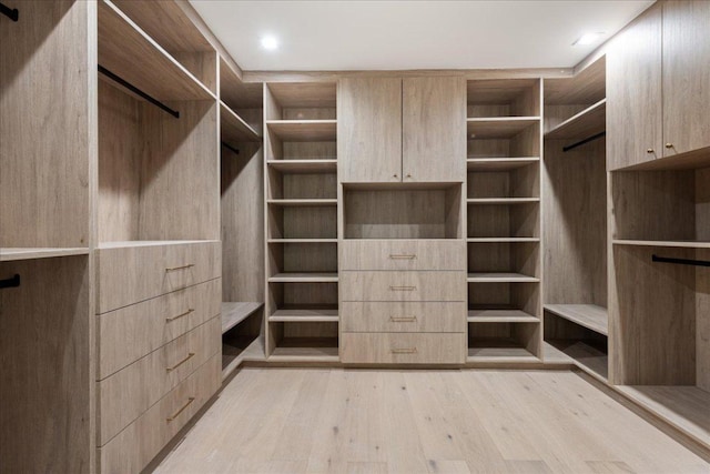 902 Challenger St, Lakeway, TX 78734 - walk in closet with light wood-style flooring
