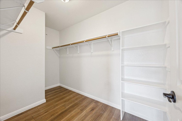 104 Lucky Clover Ln, Hutto, TX 78634 - walk in closet with wood finished floors