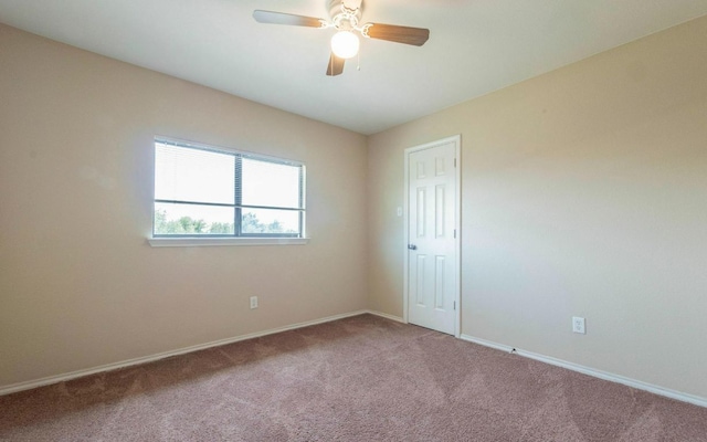 1736 Bayland St, Round Rock, TX 78664 - photo 19
