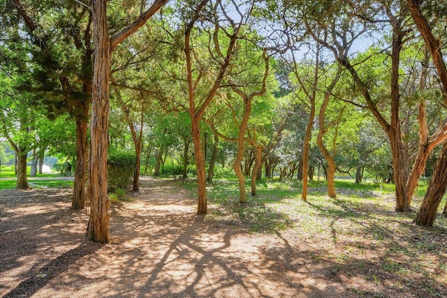 598 Naples Ln, Austin, TX 78737 - view of nature