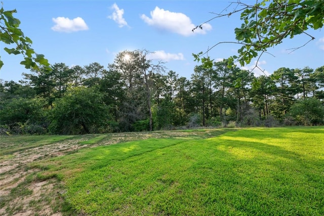 121 Mokolii Ct, Bastrop, TX 78602 - view of grassy yard