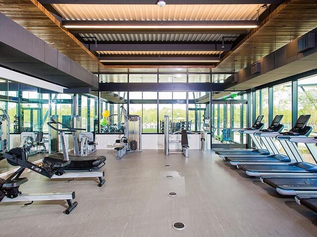 9101 Hamadryas Dr, Austin, TX 78744 - workout area featuring plenty of natural light and expansive windows