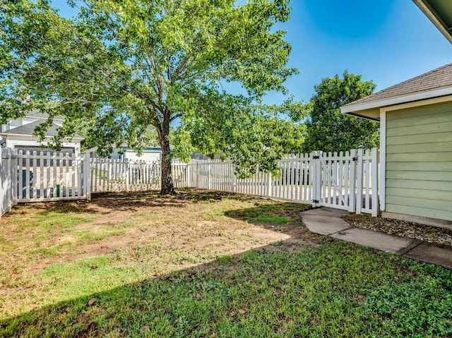 581 Sampson, Kyle, TX 78640 - view of yard