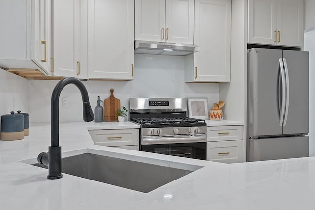 1607 Forest St, Georgetown, TX 78626 - kitchen featuring appliances with stainless steel finishes, under cabinet range hood, a sink, and light stone countertops