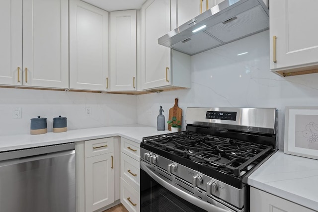 1607 Forest St, Georgetown, TX 78626 - kitchen featuring stainless steel appliances, ventilation hood, and white cabinets