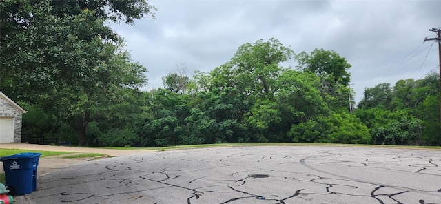 3005 Sugar Berry Cv, Round Rock, TX 78664 - view of road