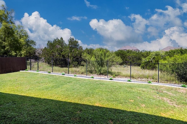 108 Panzano Dr, Georgetown, TX 78628 - view of yard