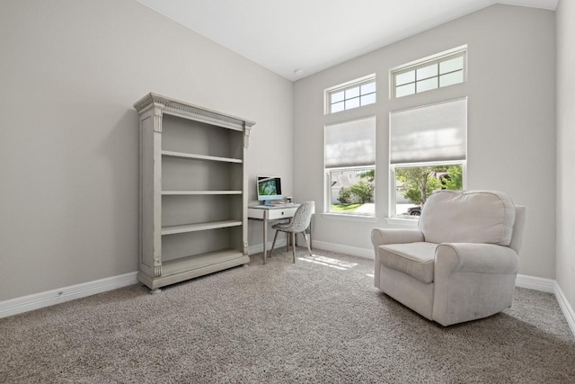 108 Panzano Dr, Georgetown, TX 78628 - sitting room with carpet flooring and an office area