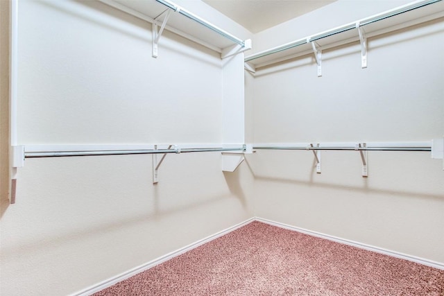612 Arrowood Pl, Round Rock, TX 78665 - spacious closet featuring carpet floors
