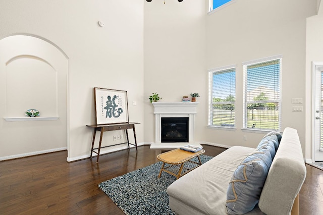 5012 Yucca Bloom Dr, Georgetown, TX 78626 - living room with a towering ceiling, wood finished floors, plenty of natural light, a glass covered fireplace, and baseboards
