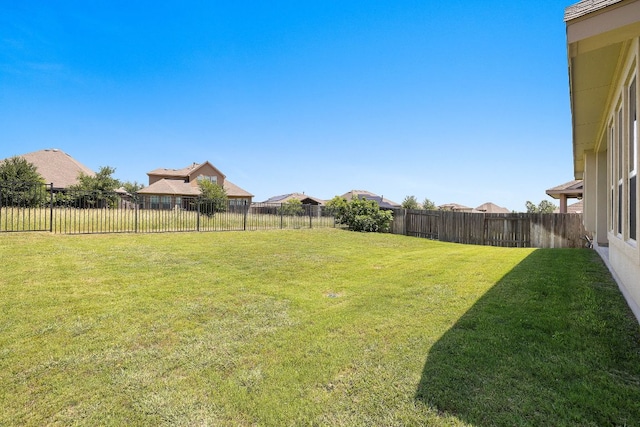 5012 Yucca Bloom Dr, Georgetown, TX 78626 - view of yard