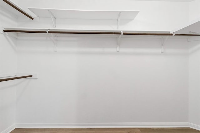 424 Wapiti Rd, Buda, TX 78610 - walk in closet with wood finished floors